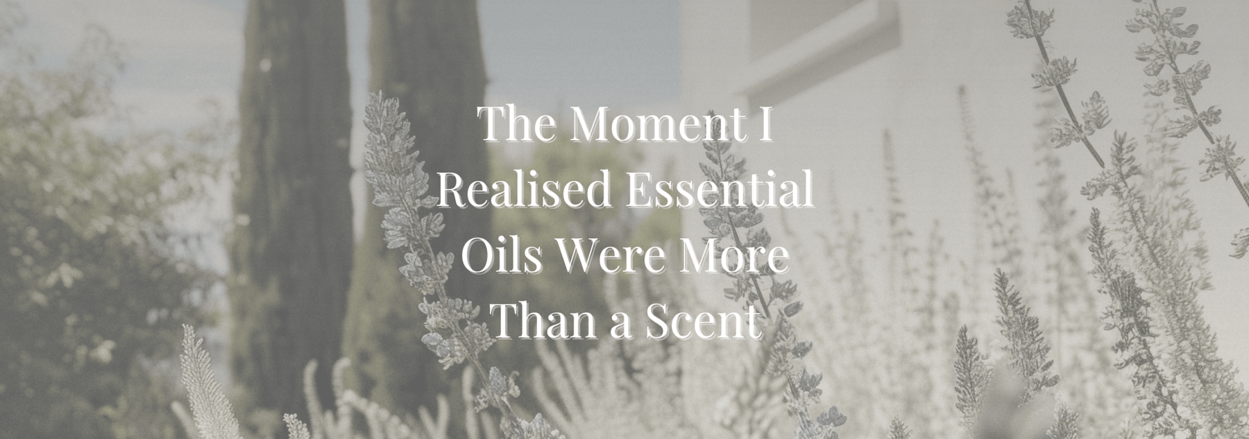 The Moment I Realised Essential Oils Were More Than a Scent - SkinGlow Alchemy