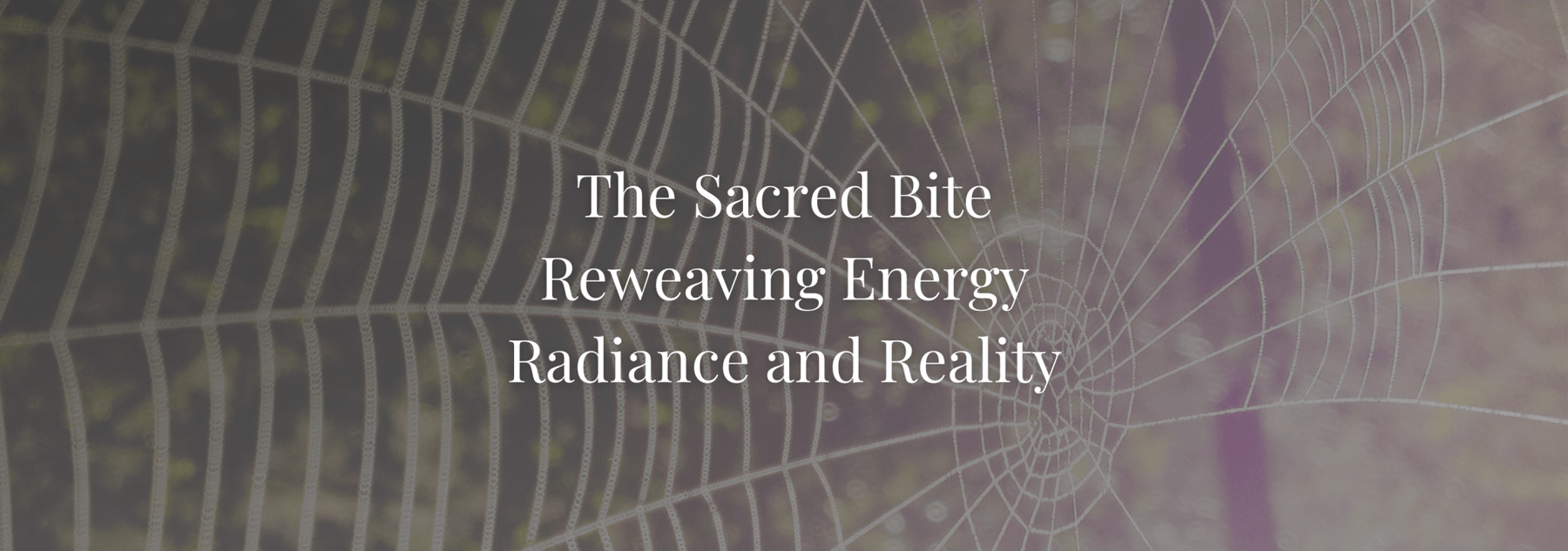What a Spider Bite Taught Me About Sacred Beauty - SkinGlow Alchemy