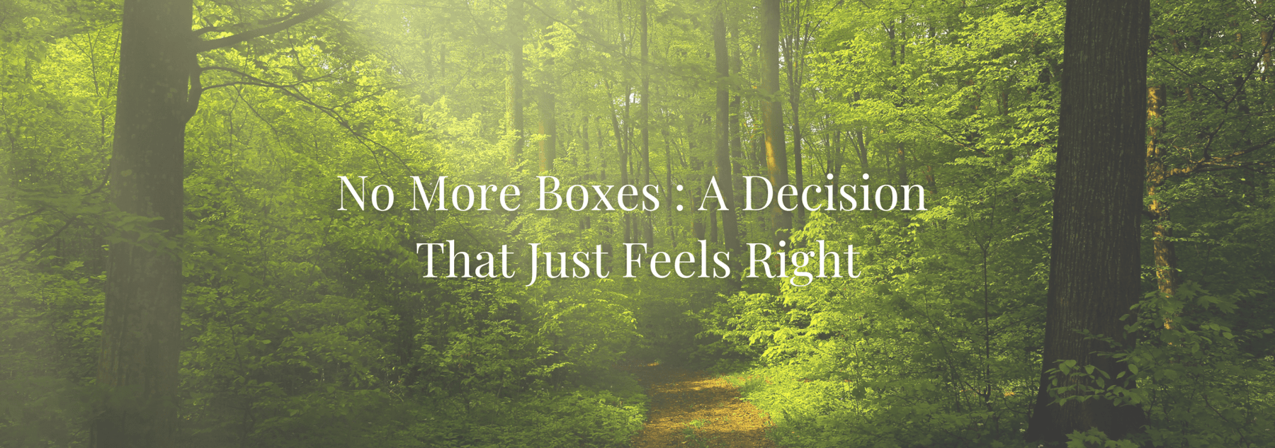 Why We Ditched Product Boxes - SkinGlow Alchemy